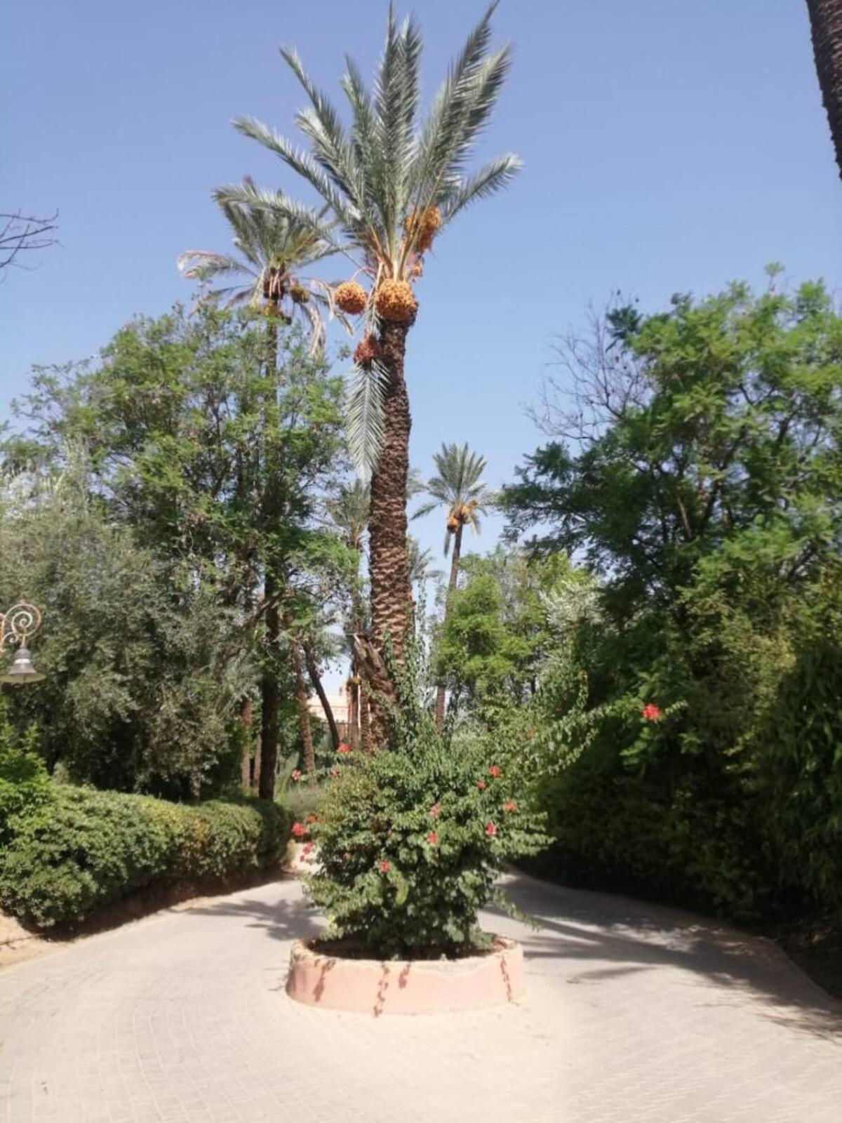 Palmeraie Paradise Marrakesh